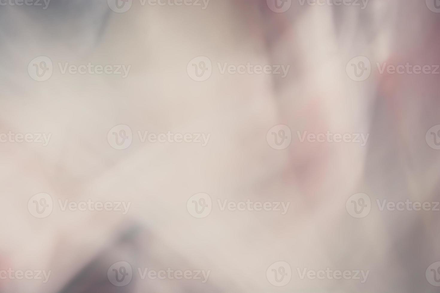 Pale pink with gray abstract background, blur and gradient photo