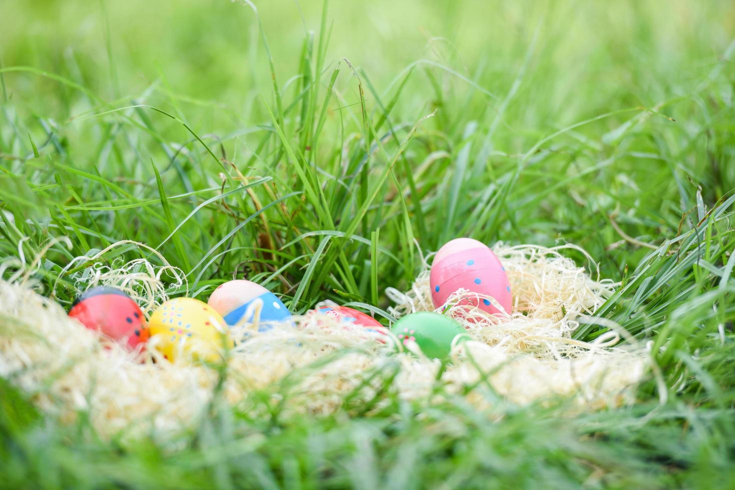 Easter eggs hunt in the nest on green grass meadow photo