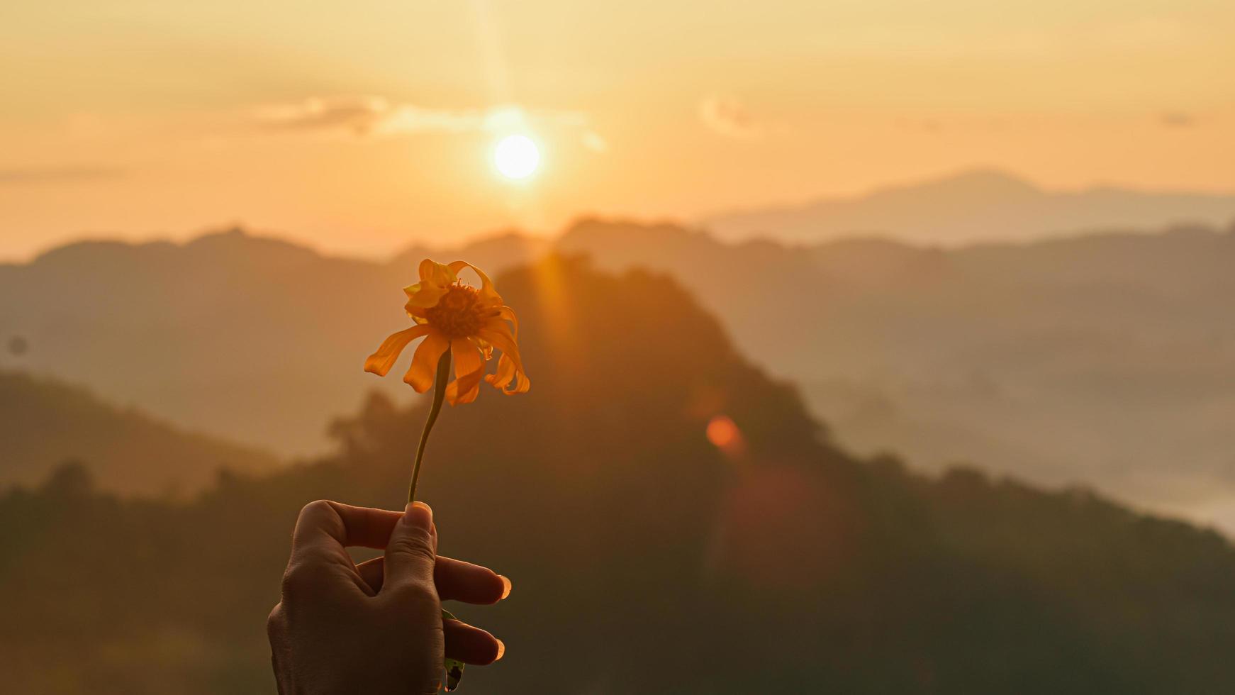 Female hands holding flowers in nature view with surrounding mountains in morning There is mist and soft light at sunrise. photo
