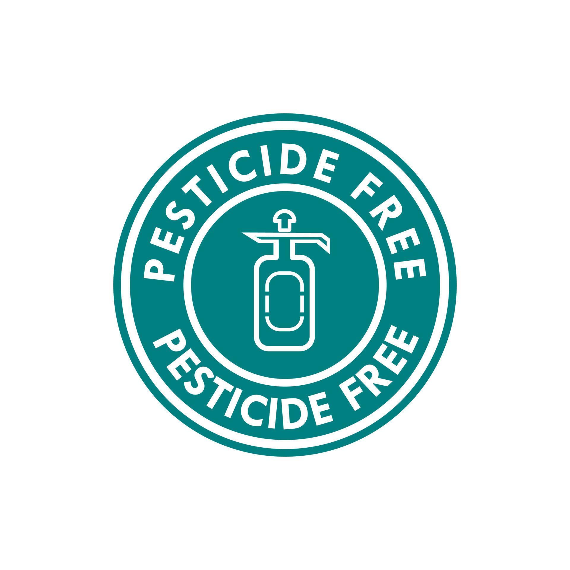 Pesticide free logo design template illustration. this is suitable