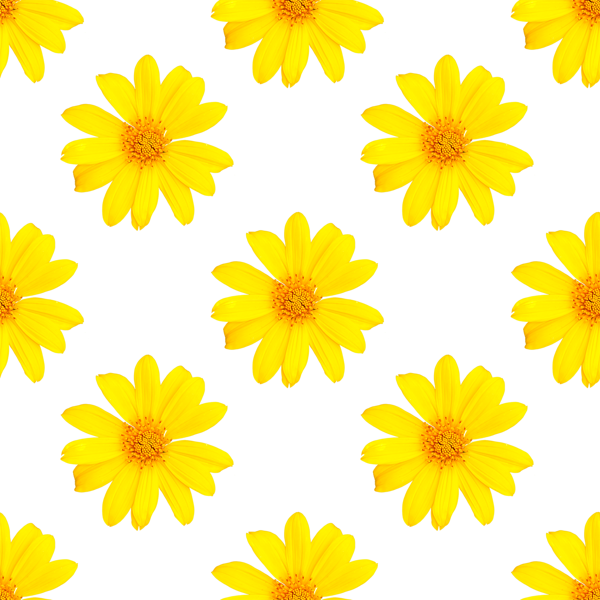 Pattern Of Yellow Flowers For Summer 16761886 PNG pattern-of-yellow-flowers-for-summer-16761886-png