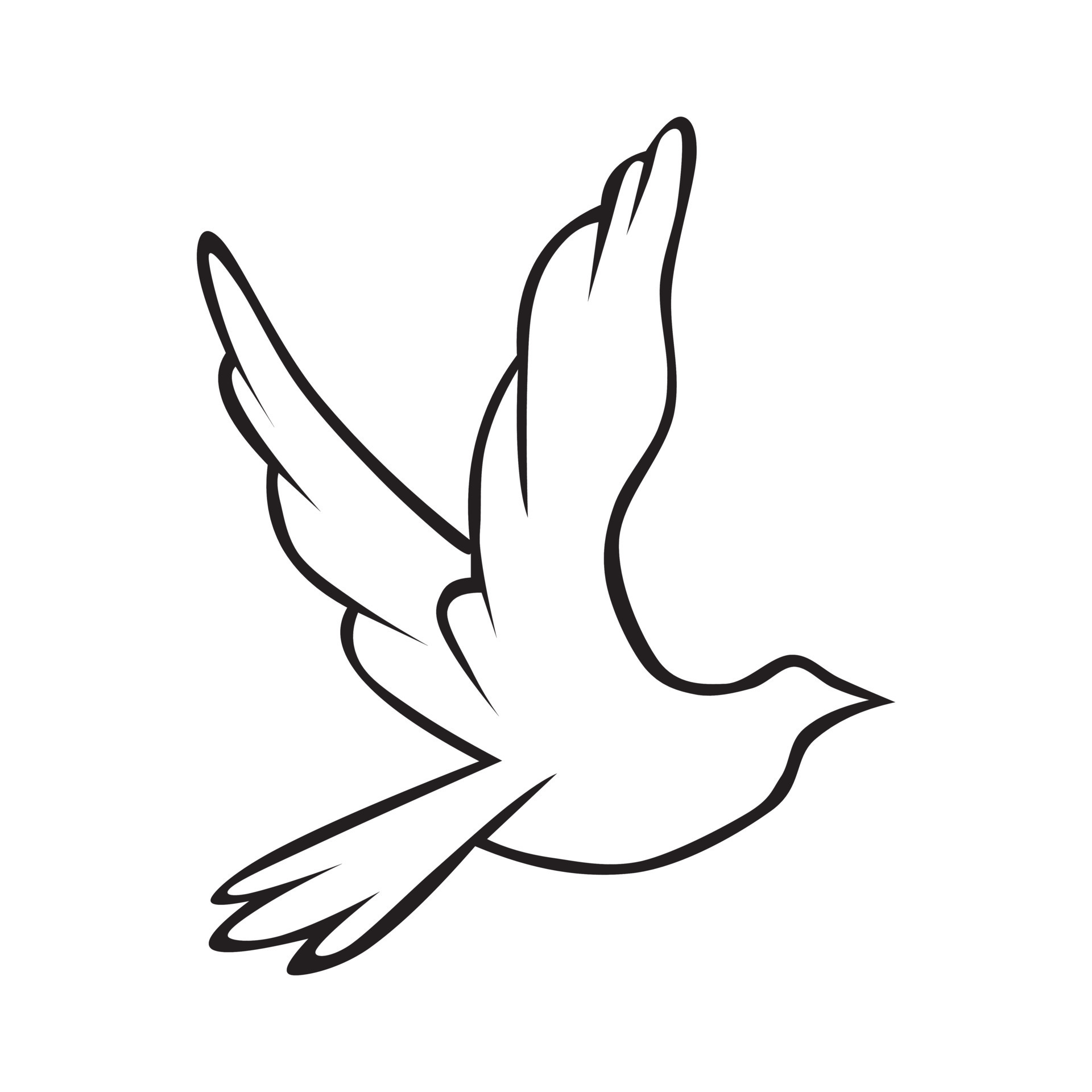 this picture depicts a flying bird spread its wings in simple sketch line  hand drawn style 16762420 Vector Art at Vecteezy
