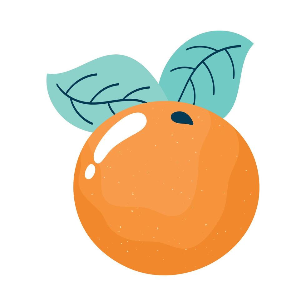 fresh fruit healthy vector