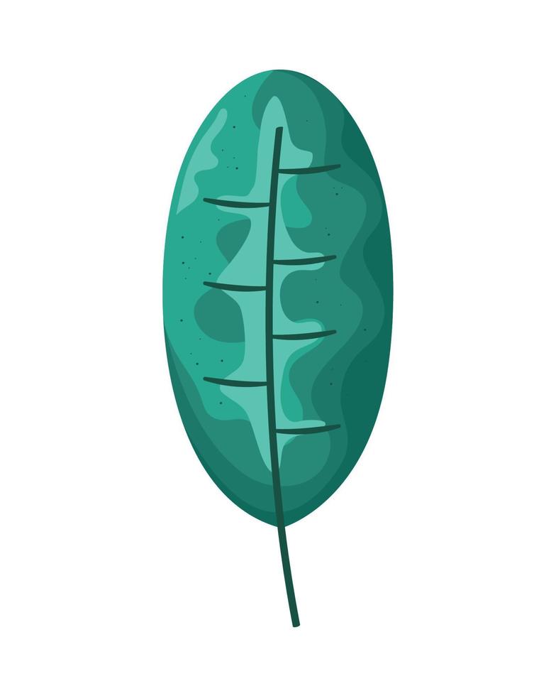 planta de follaje de hoja vector