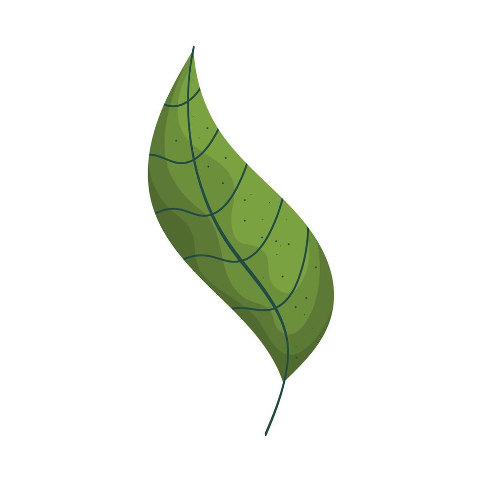 green leave plant foliage vector