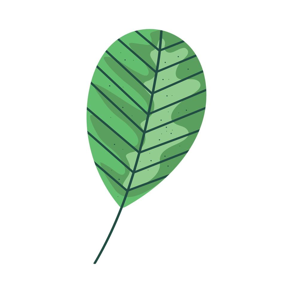 leave plant foliage vector