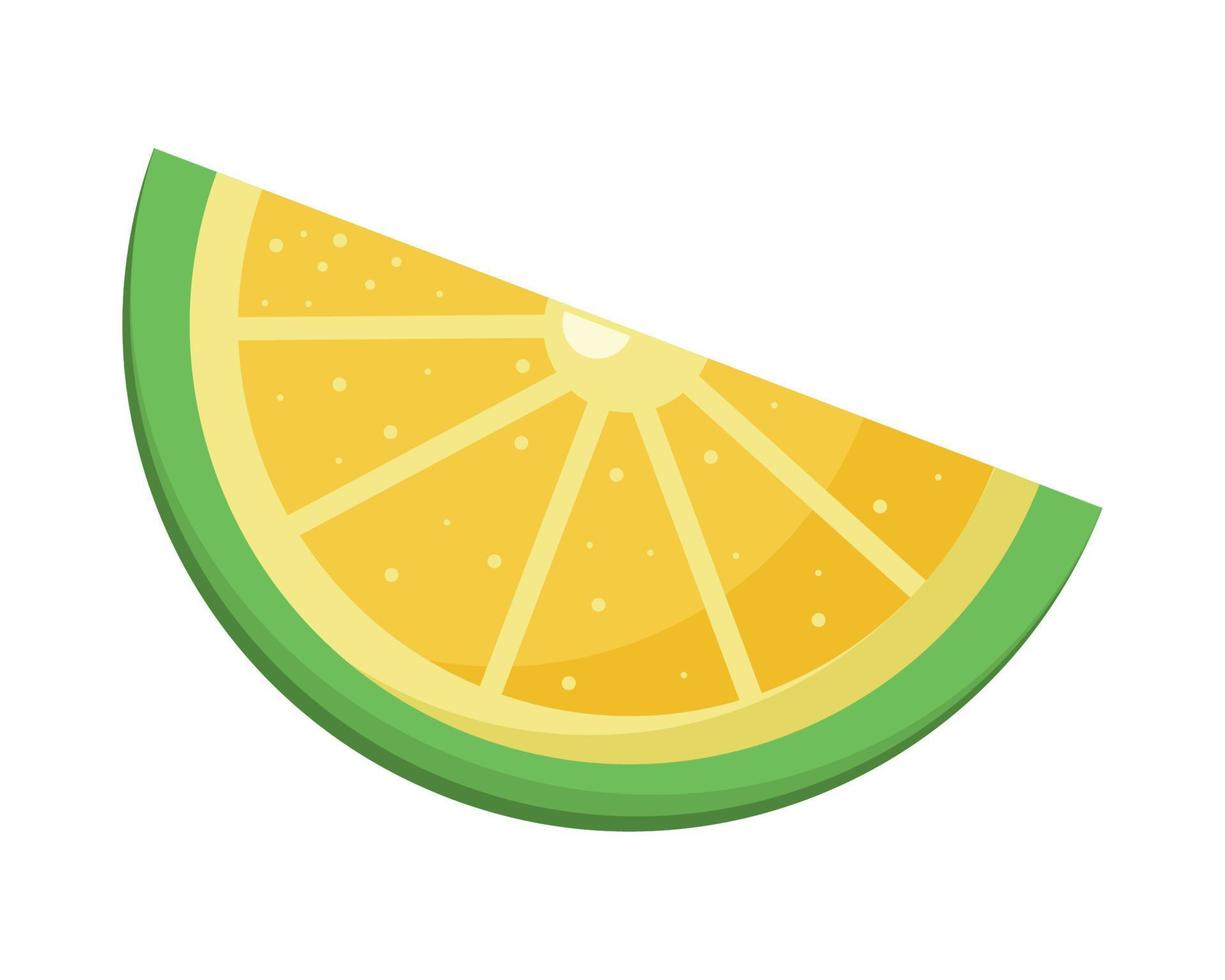 lemon citrus fruit vector