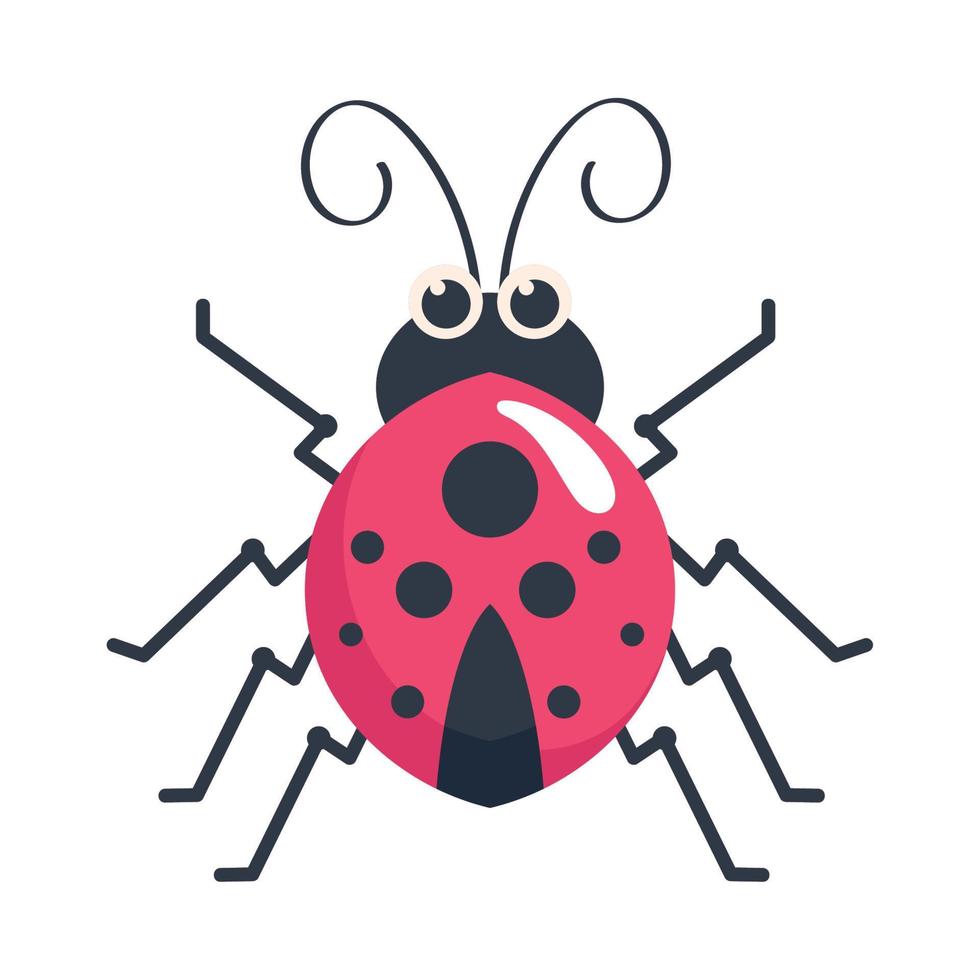 ladybug insect garden vector