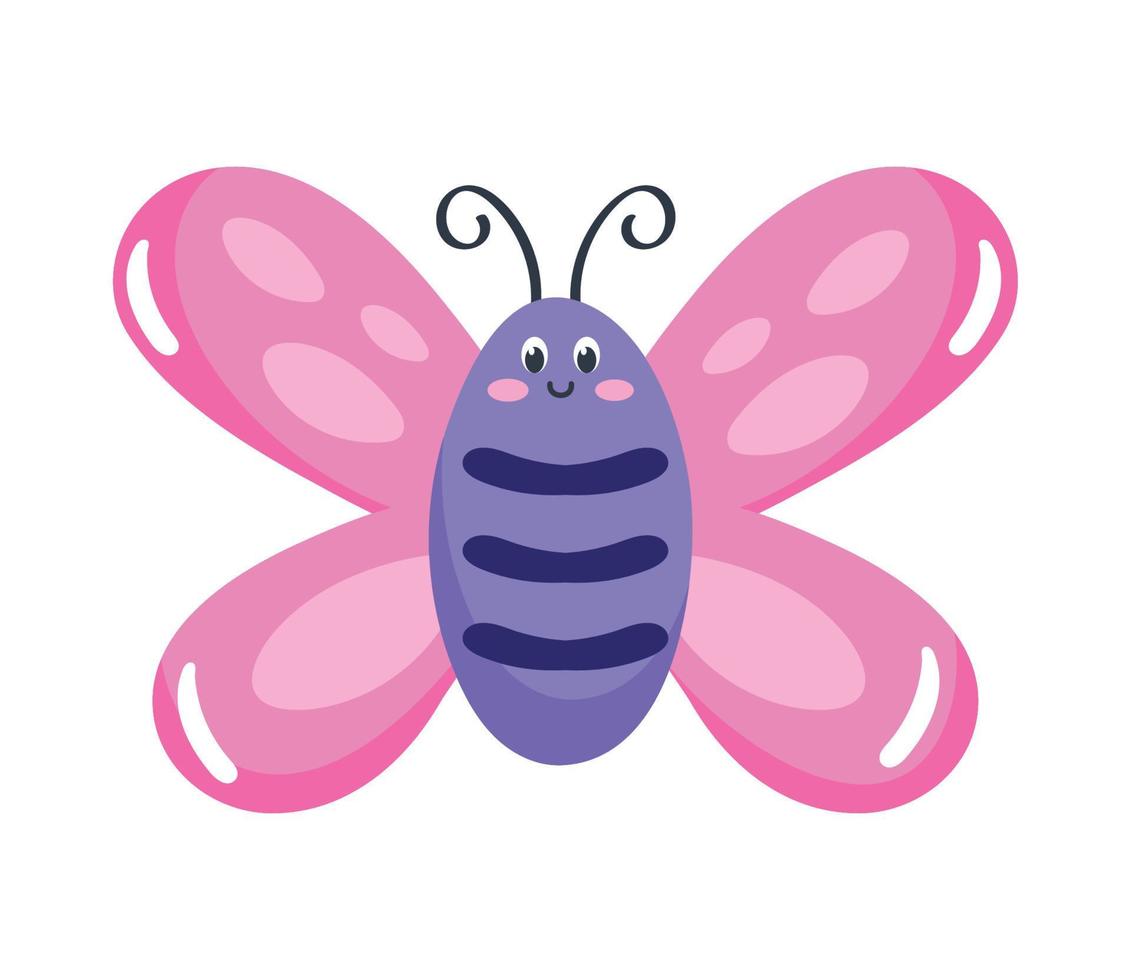 beauty butterfly insect vector