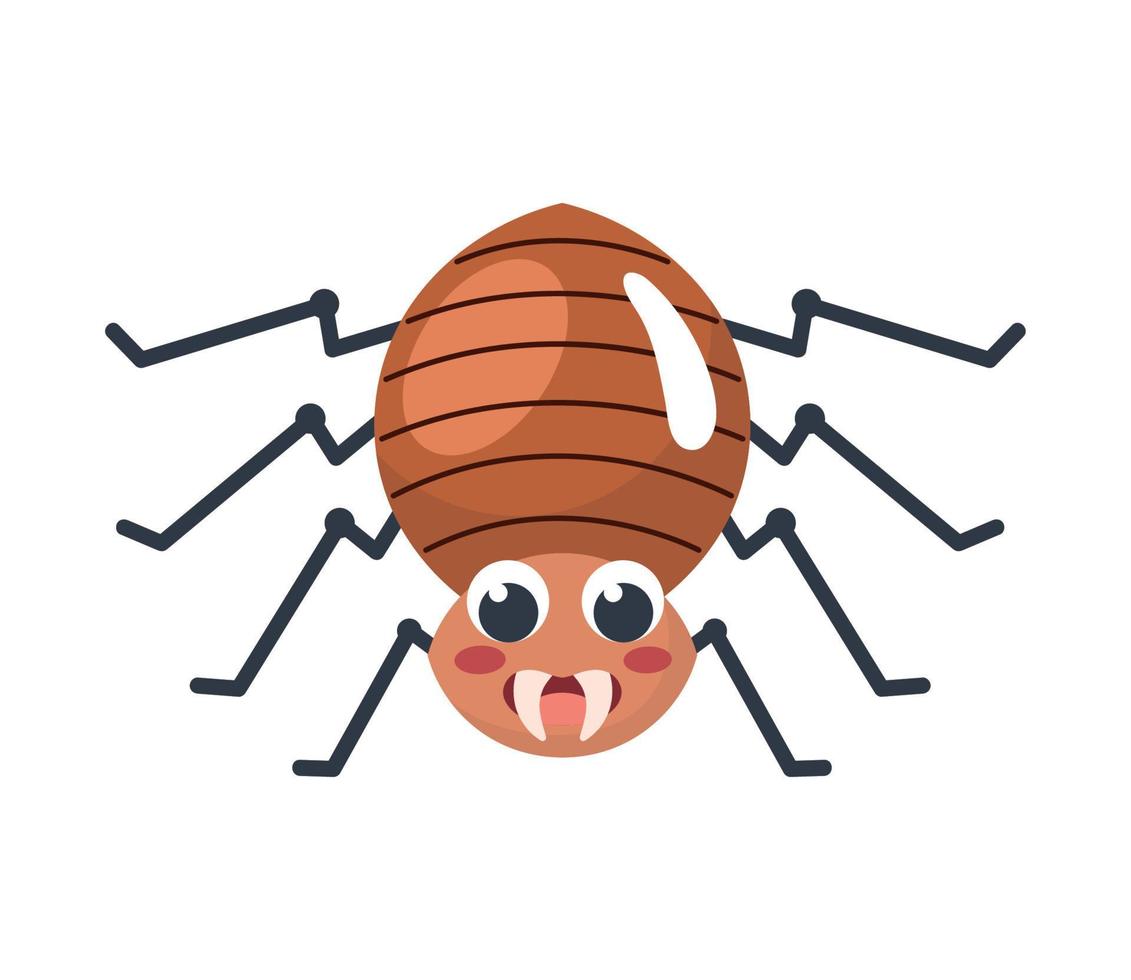 orange spider insect animal vector