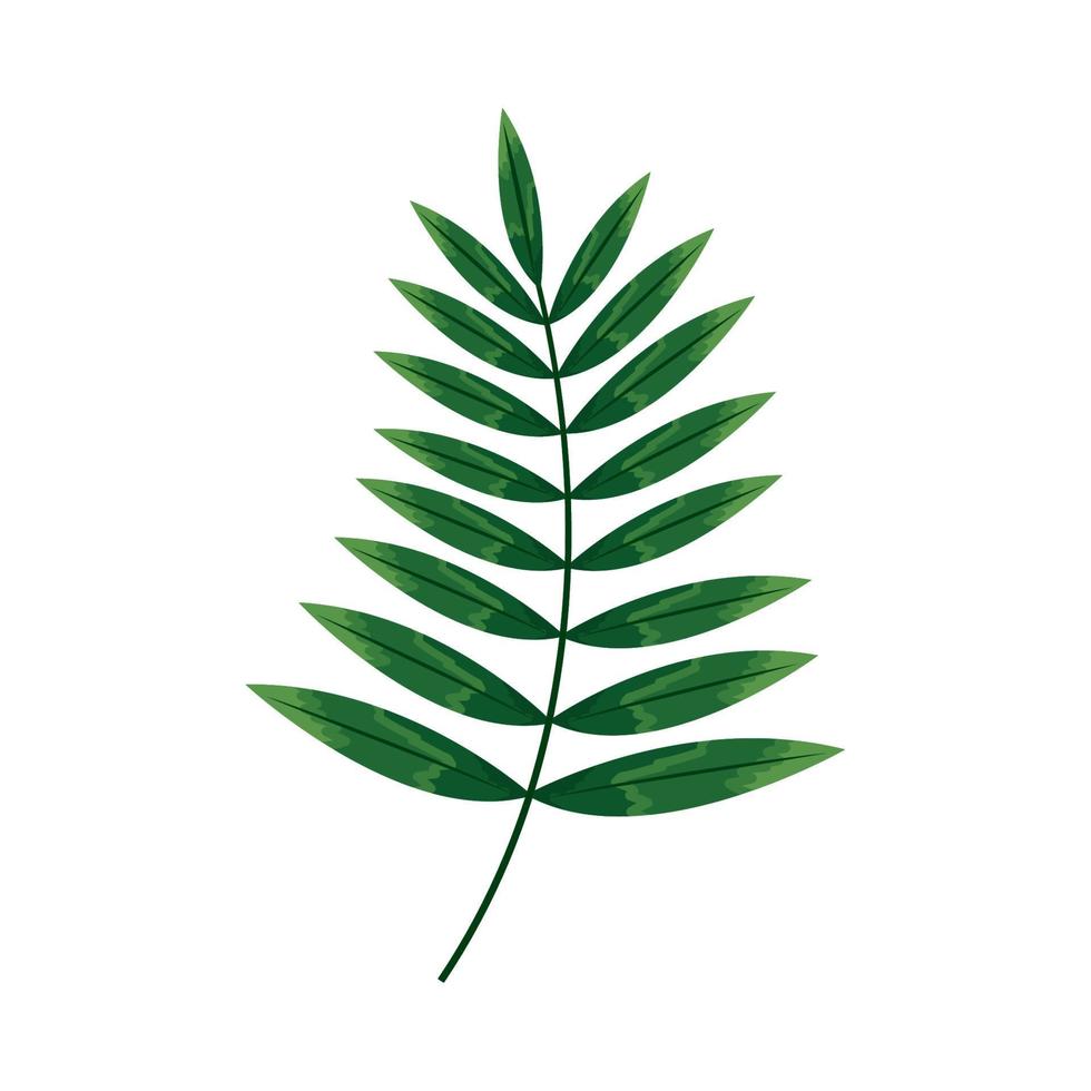 tropical branch with leafs vector
