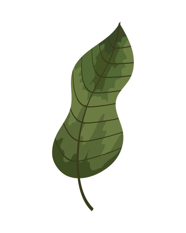 follaje de la planta de hoja verde vector