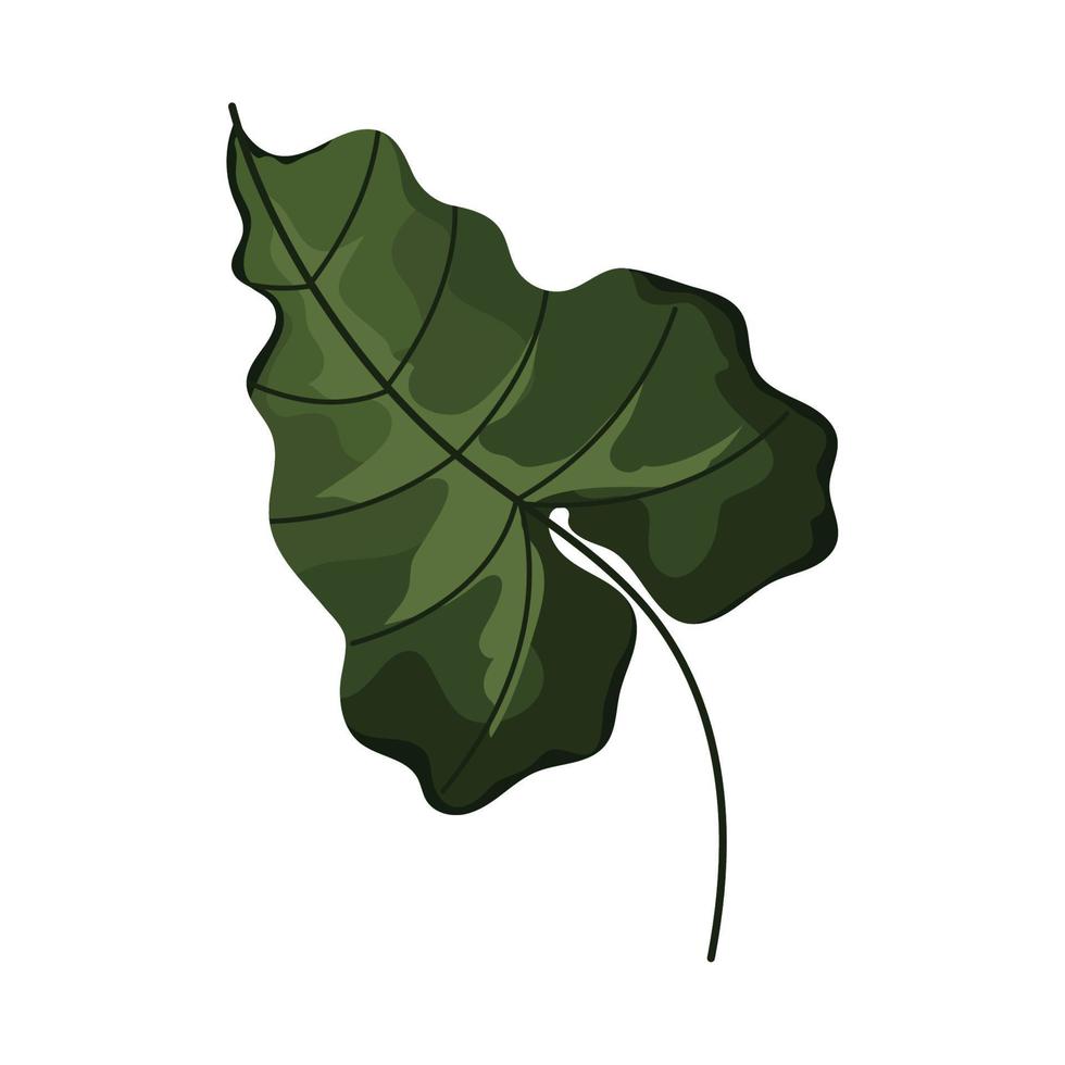 follaje de la planta de hoja común vector