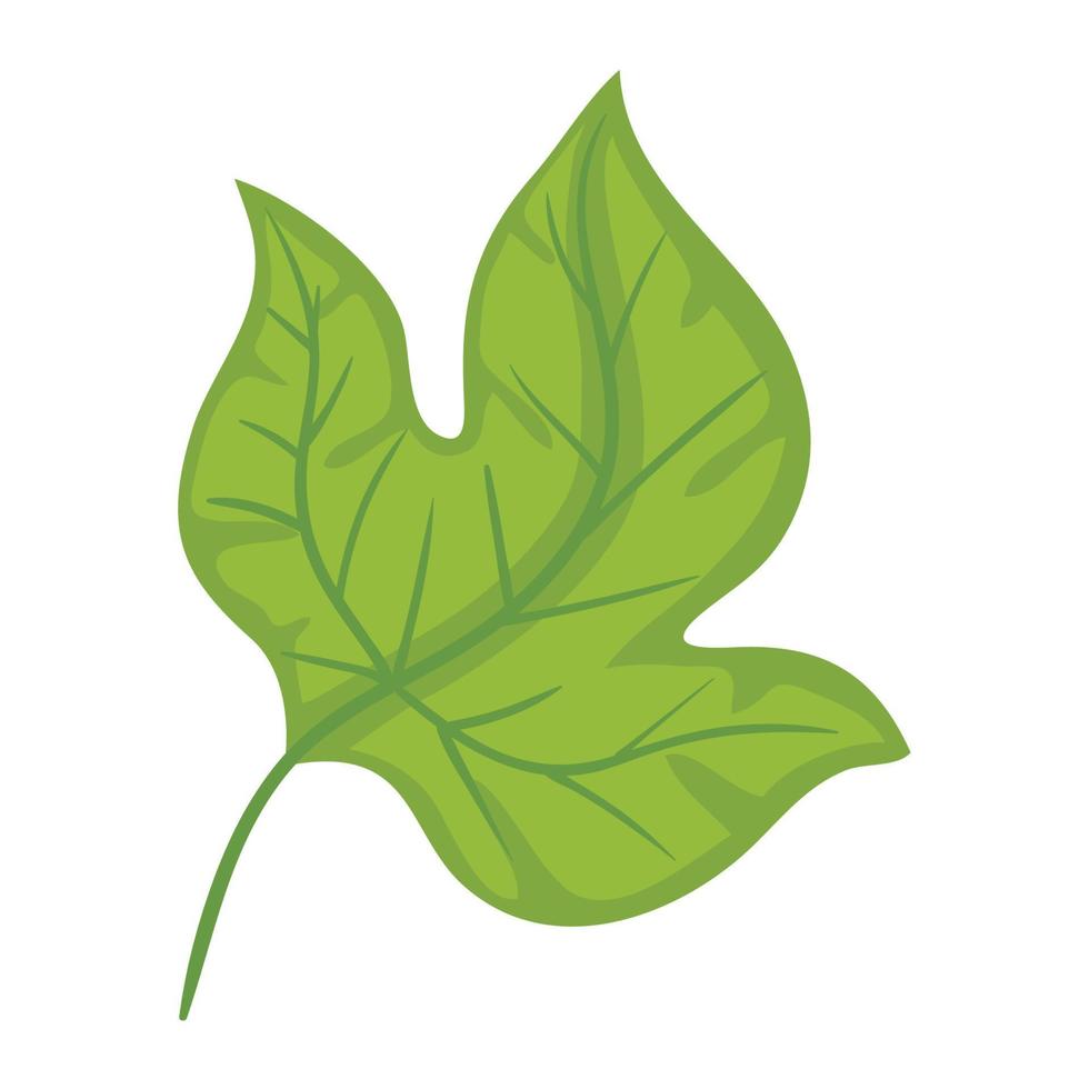 green leaf plant foliage vector