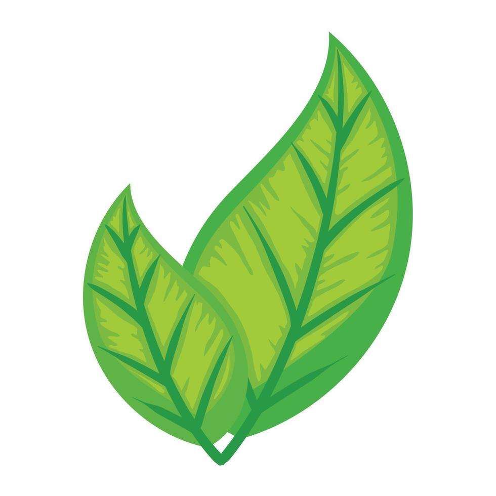 leafs plant foliage vector