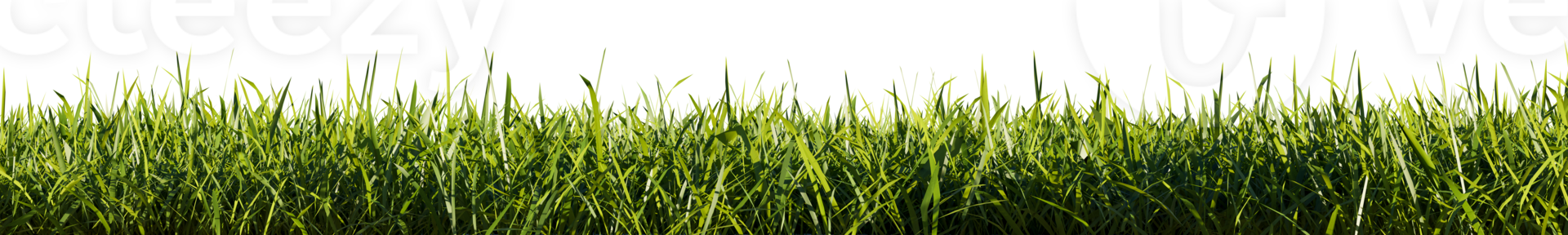Bright green grass border isolated on transparent background. 3d rendering illustration. png