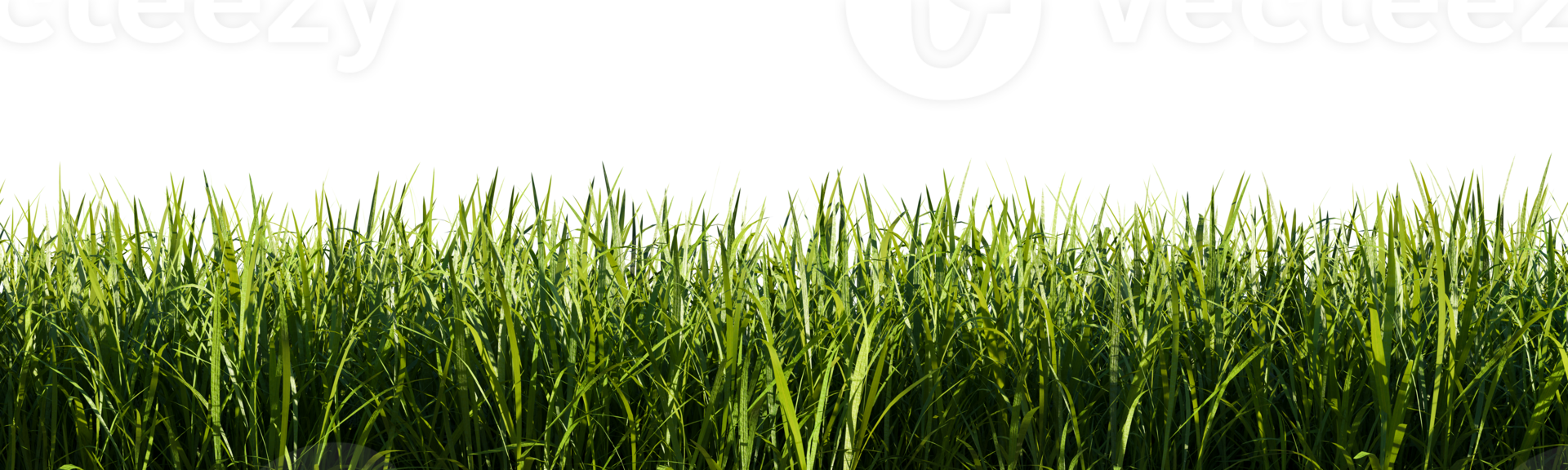 Bright green grass border isolated on transparent background. 3d rendering illustration. png