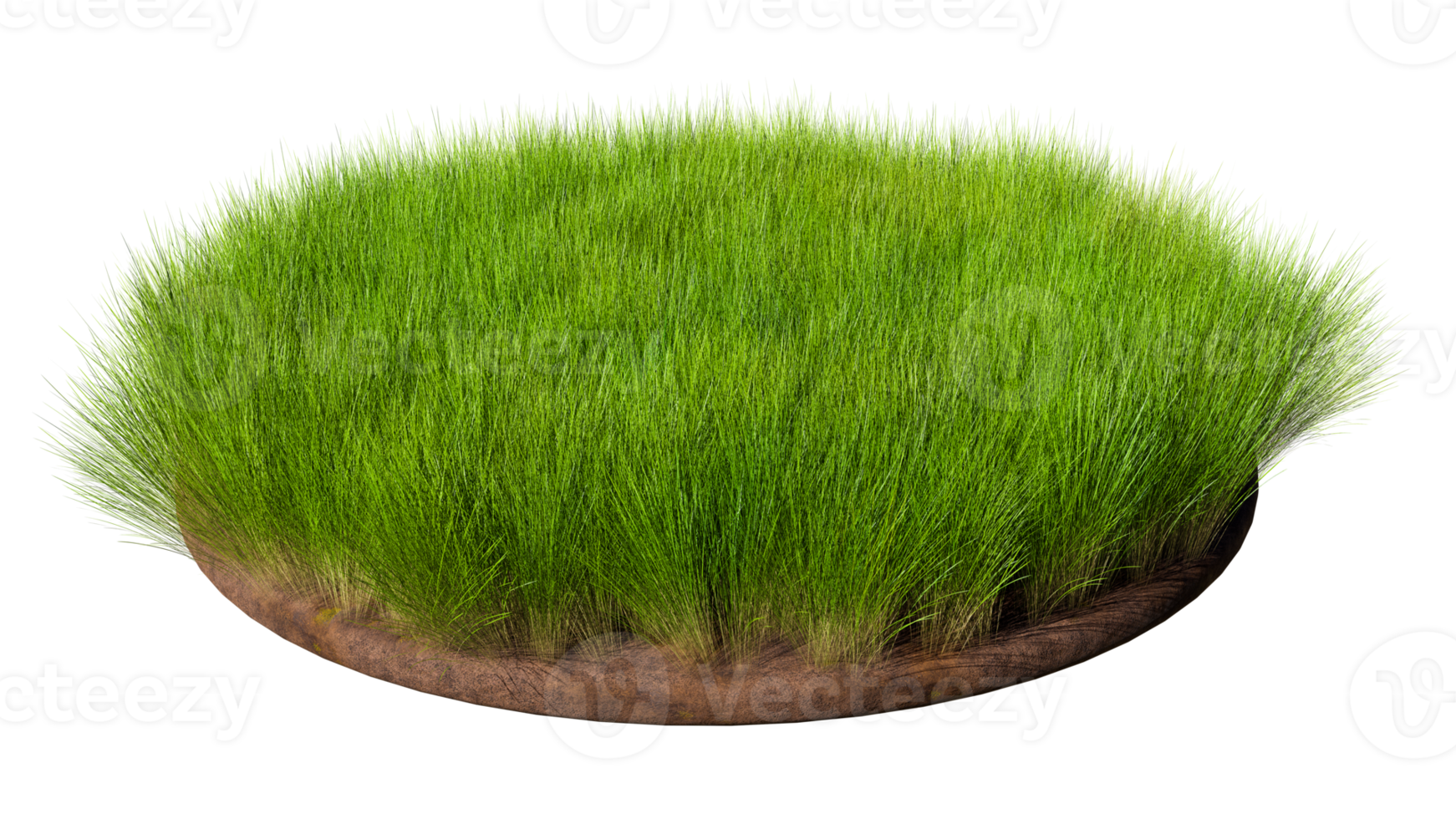 Round surface covered with green grass isolated on transparent background. 3D rendering illustration png