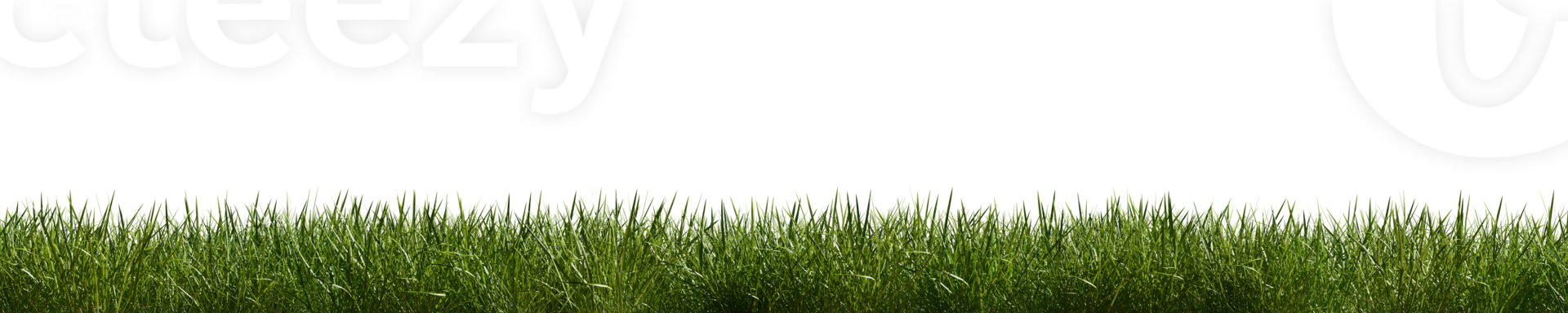 Isolated green grass on a transparent background. 3d rendering illustration. png