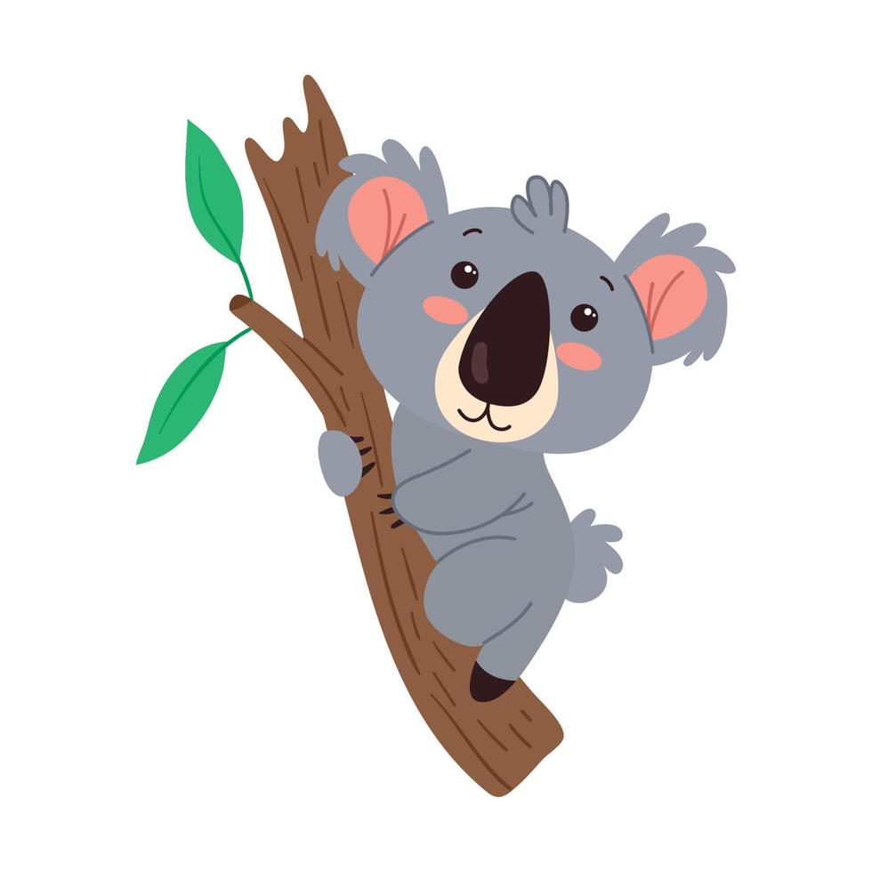 koala exótico animal australiano vector