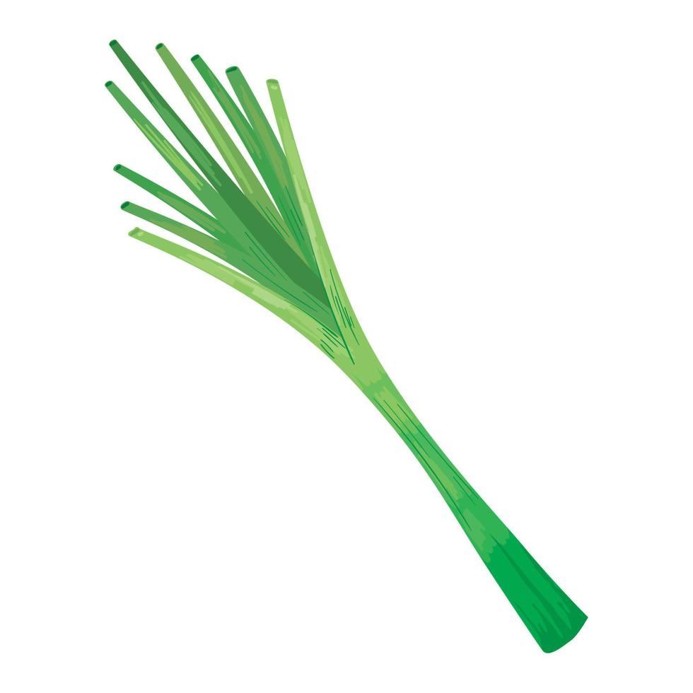 fresh celery vegetable vector