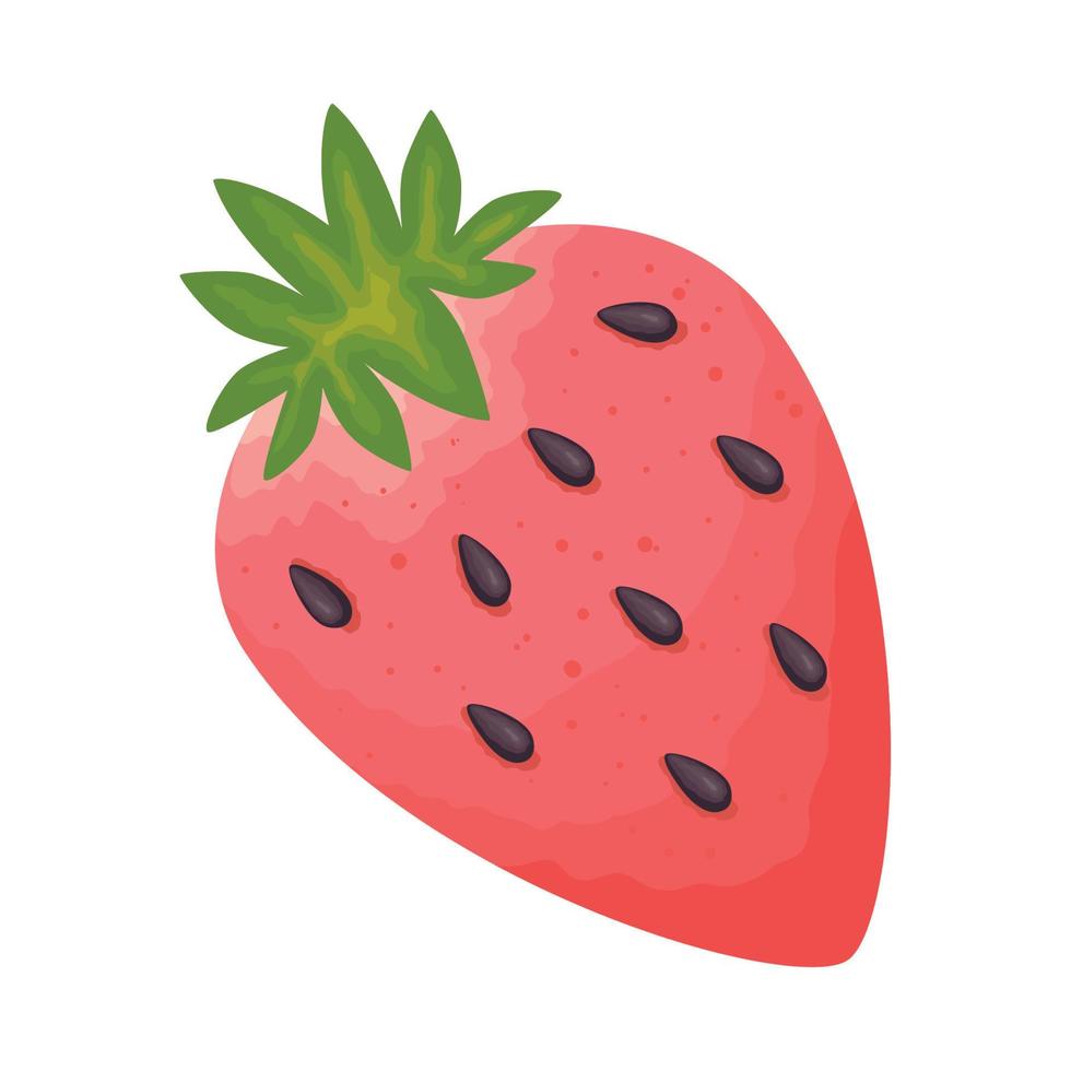 fresh strawberry fruit healthy vector