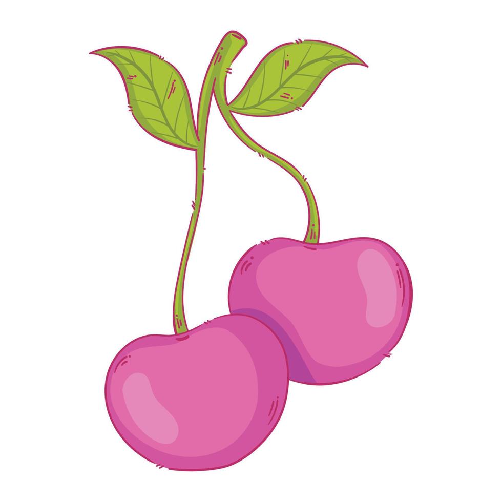 pink cherries fruits vector