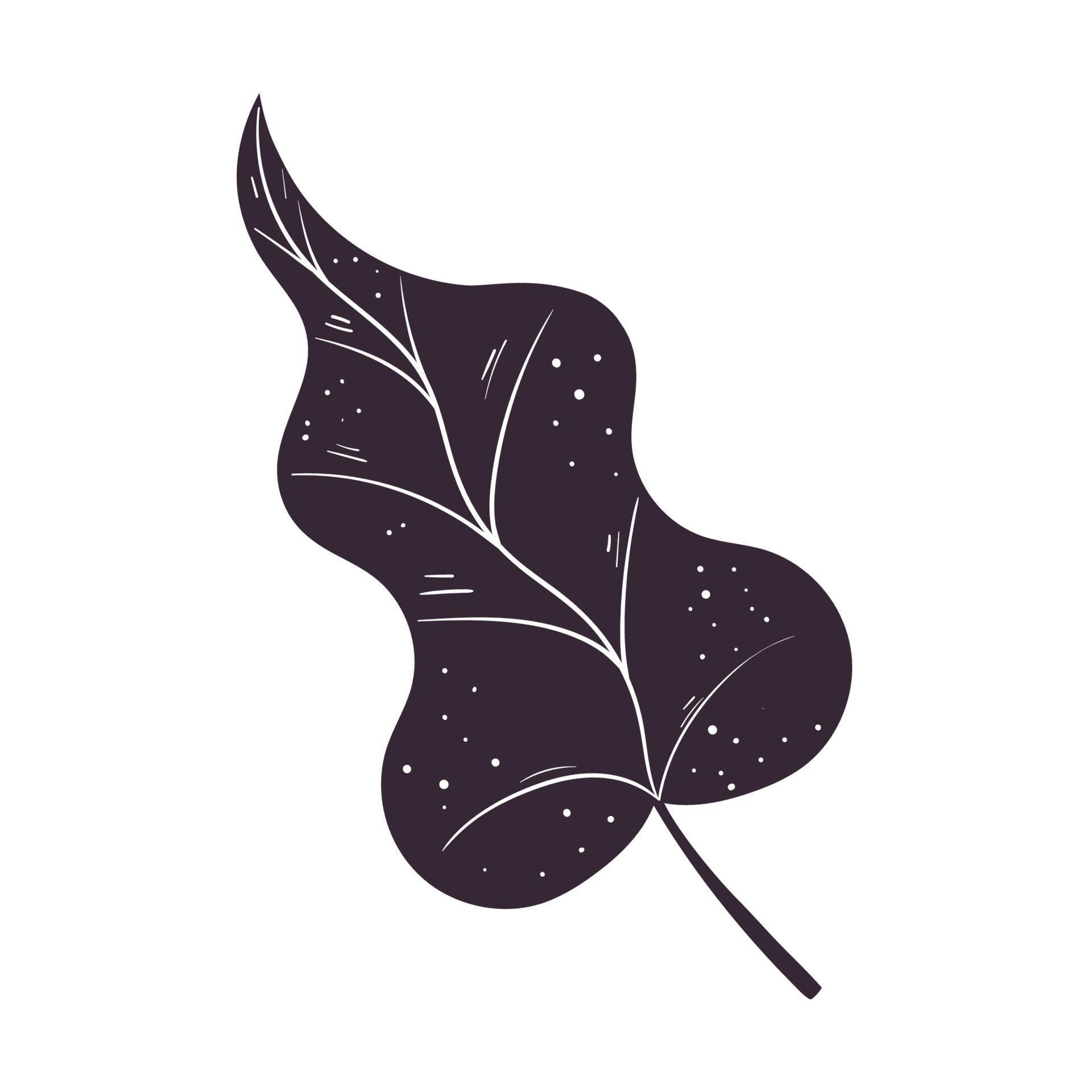 purple leave plant foliage 16763569 Vector Art at Vecteezy