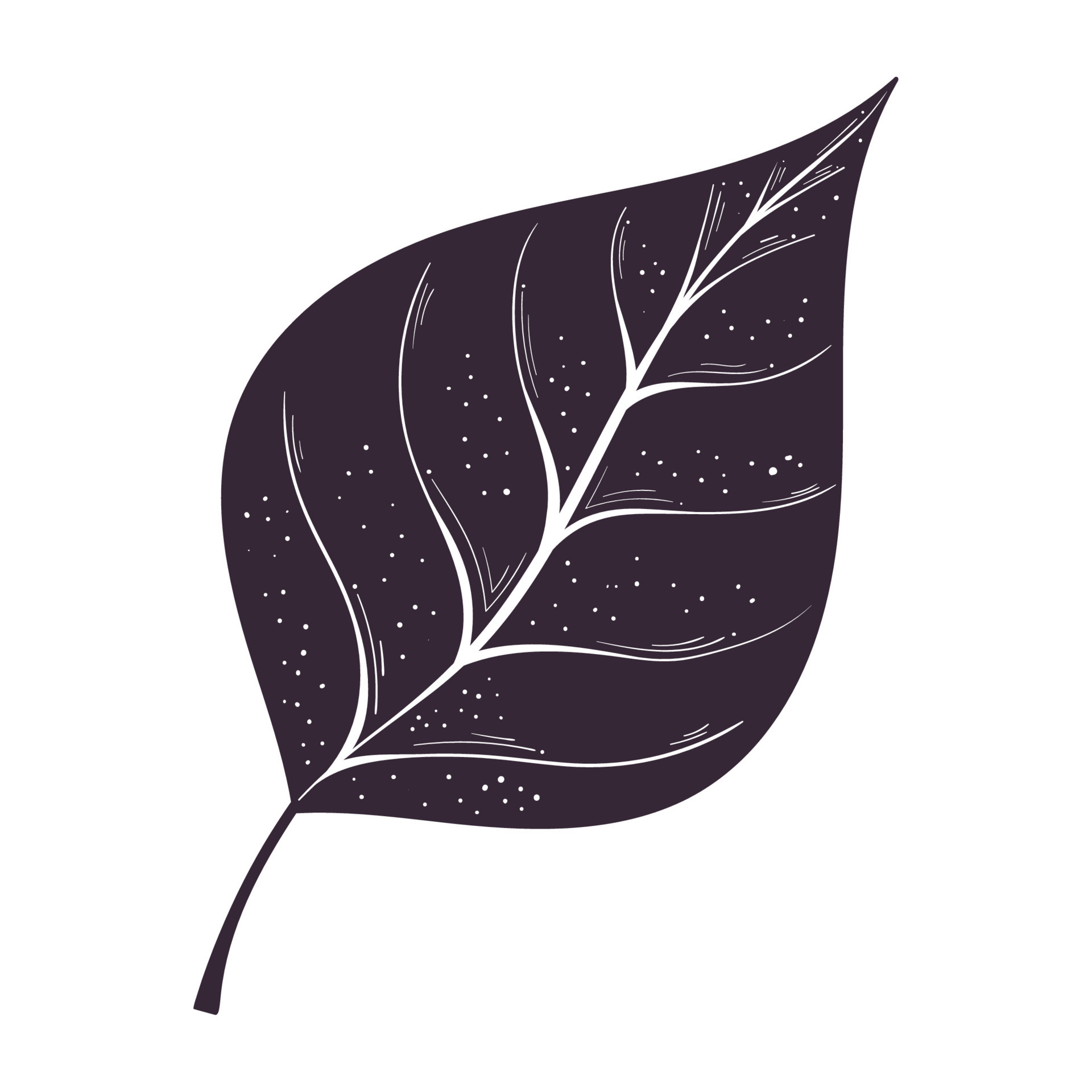 purple leaf plant foliage 16763570 Vector Art at Vecteezy