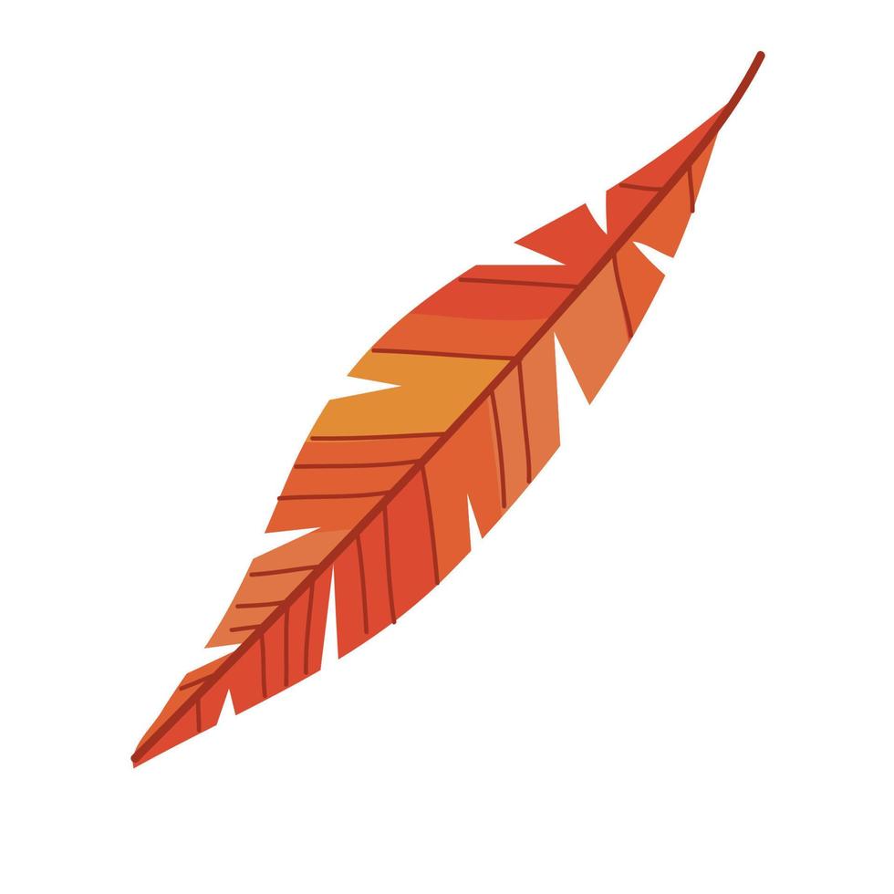 orange feather boho style vector