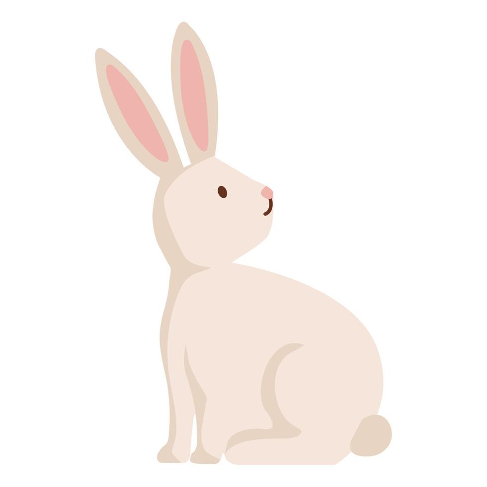 rabbit farm animal vector