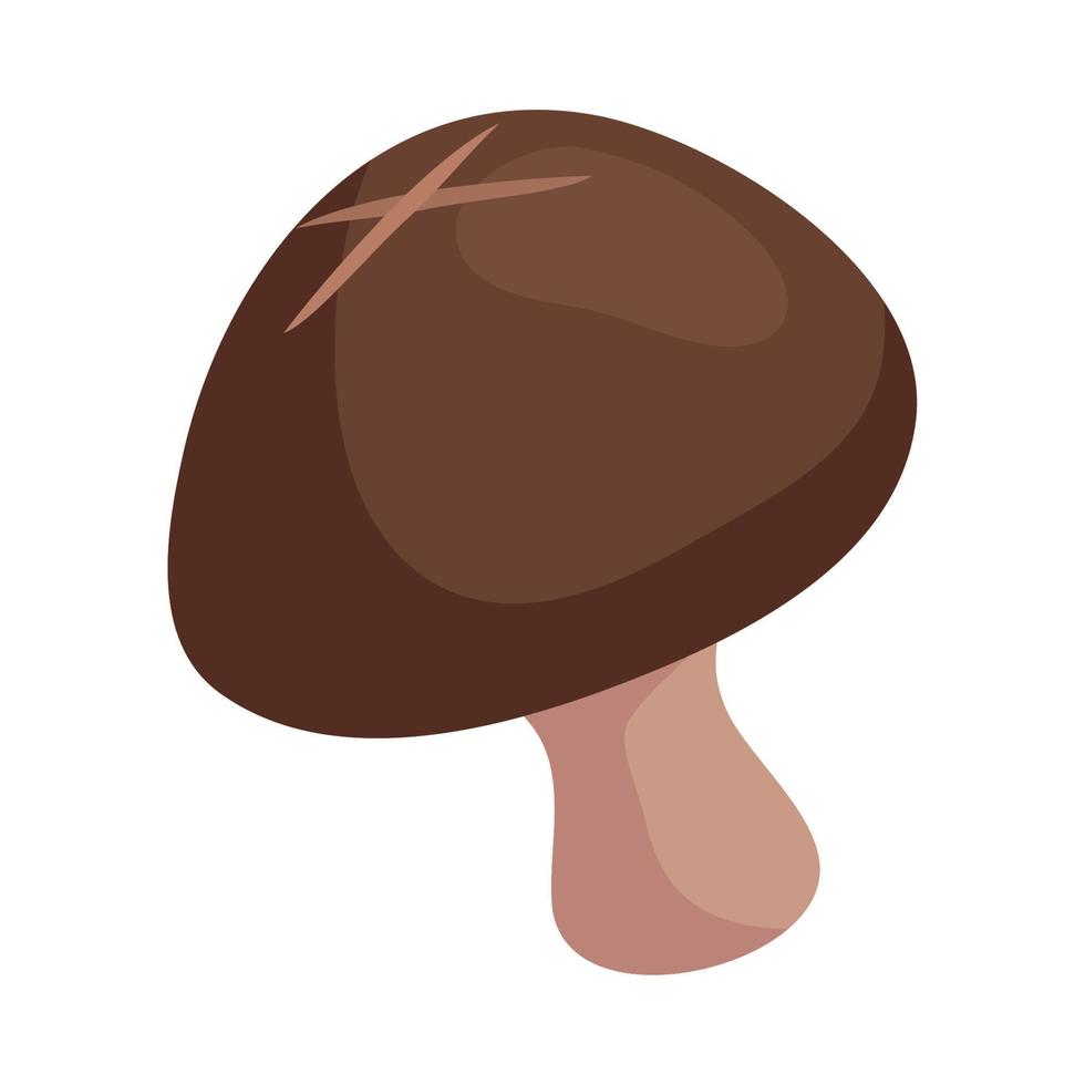 fungus plant nature vector