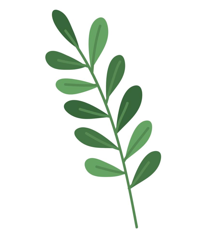 branch with leafs vector