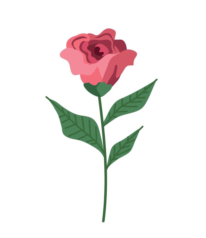 jardín de flores de rosas rojas vector