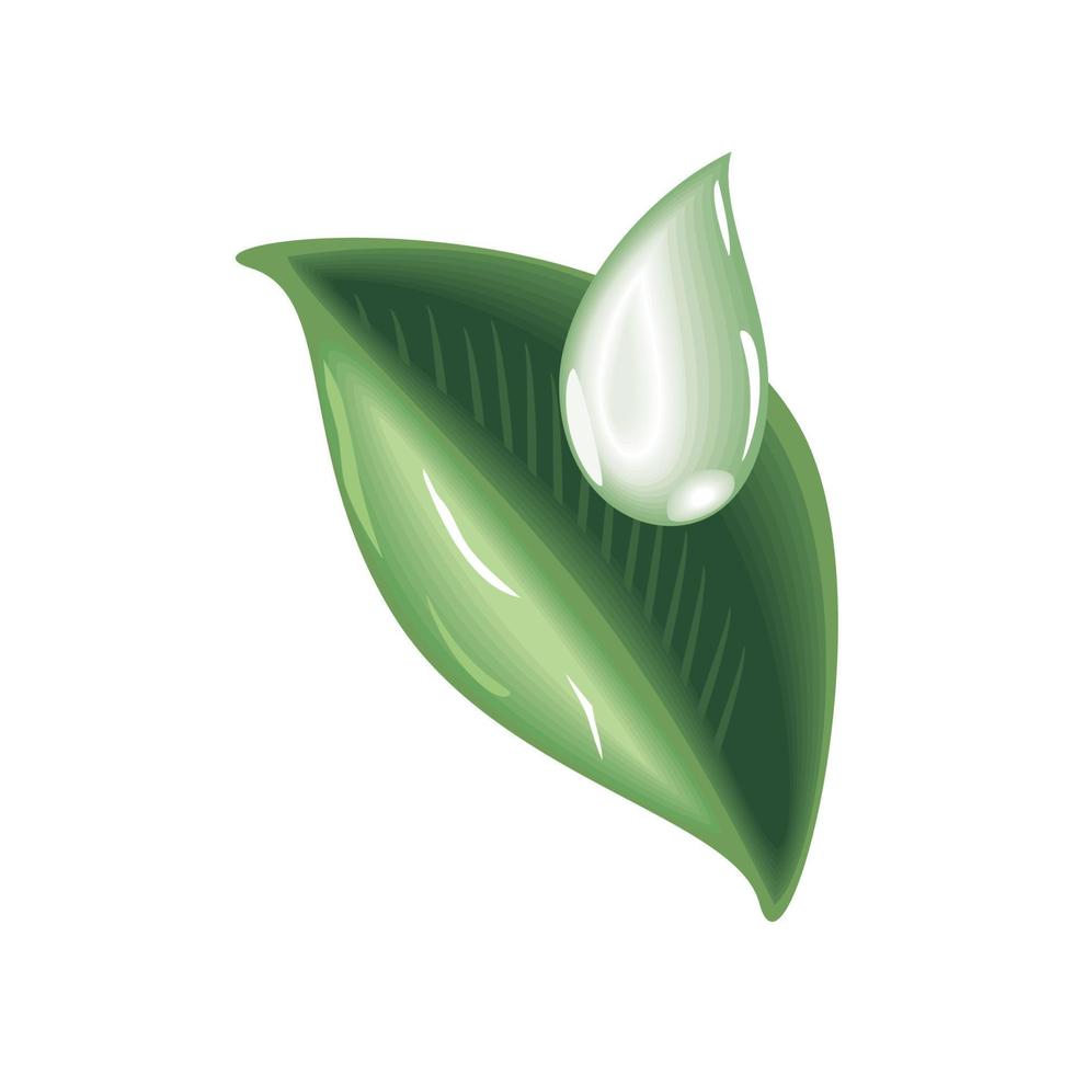serum organic leaf vector