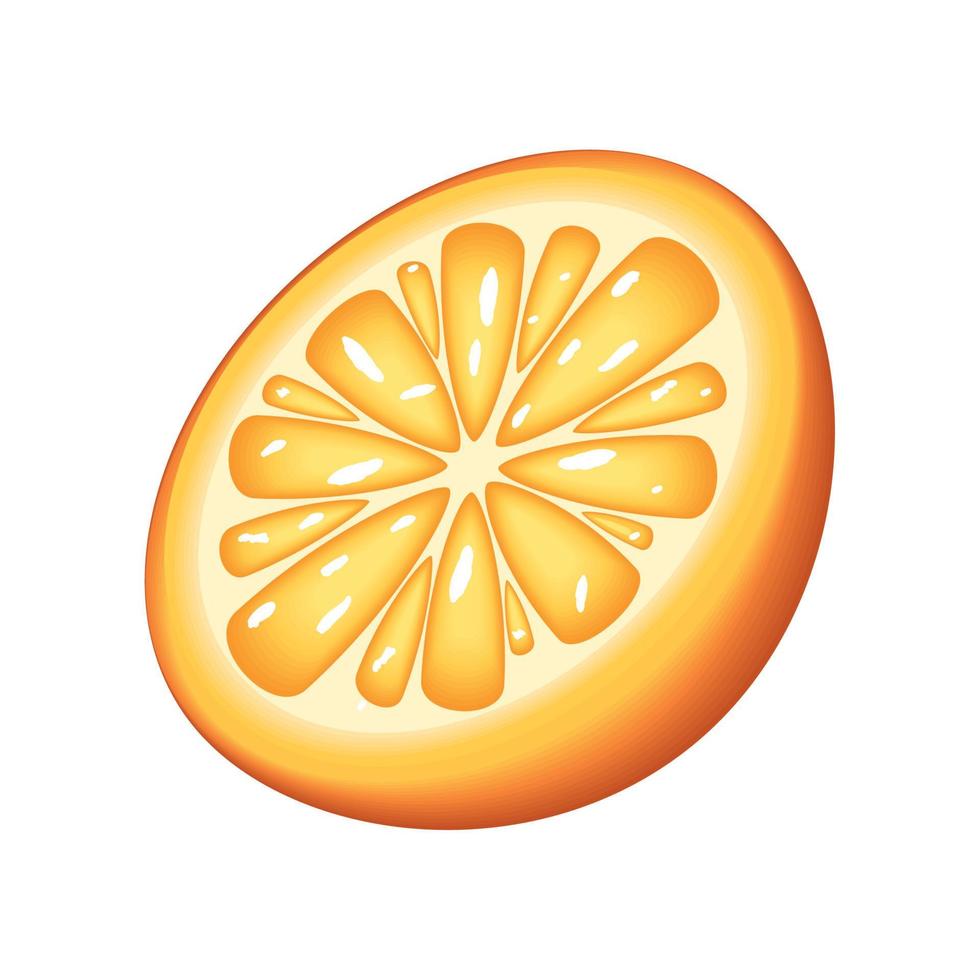 slice orange icon vector