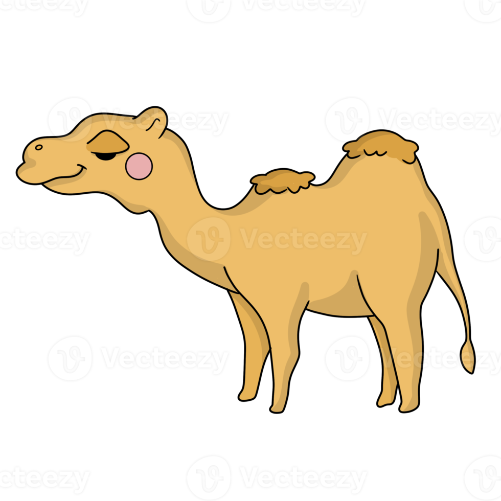 camel cartoon animal png