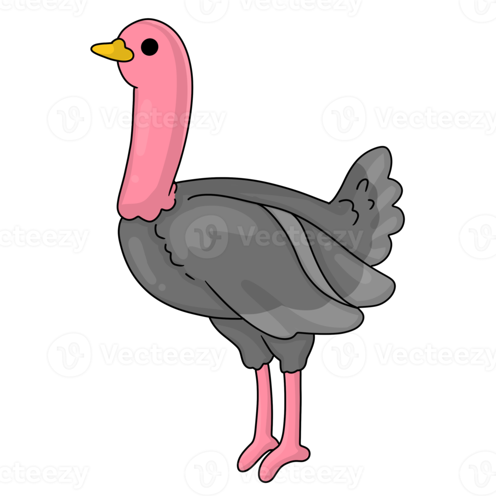 ostrich cartoon animal png