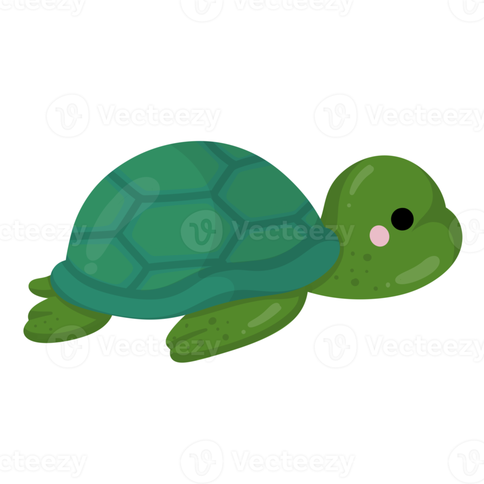 tartaruga cartone animato carino mare animale png