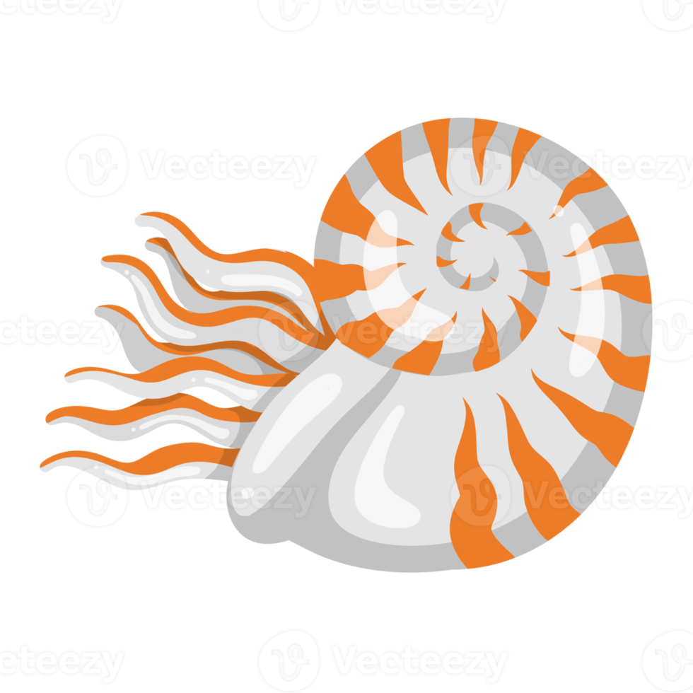 nautilus cartoon cute sea animal png