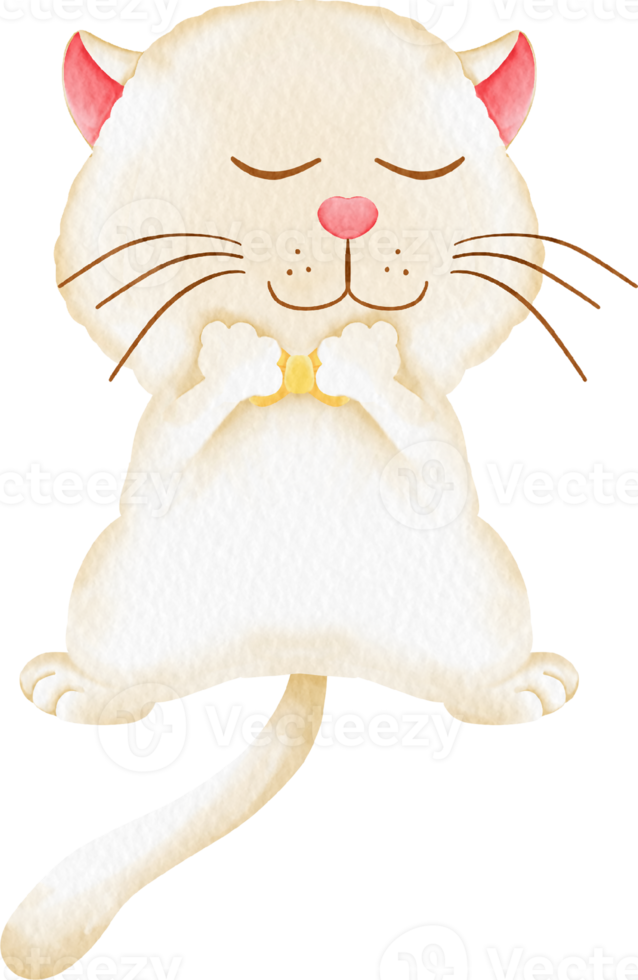 watercolor cute cat and kitty character cartoon png