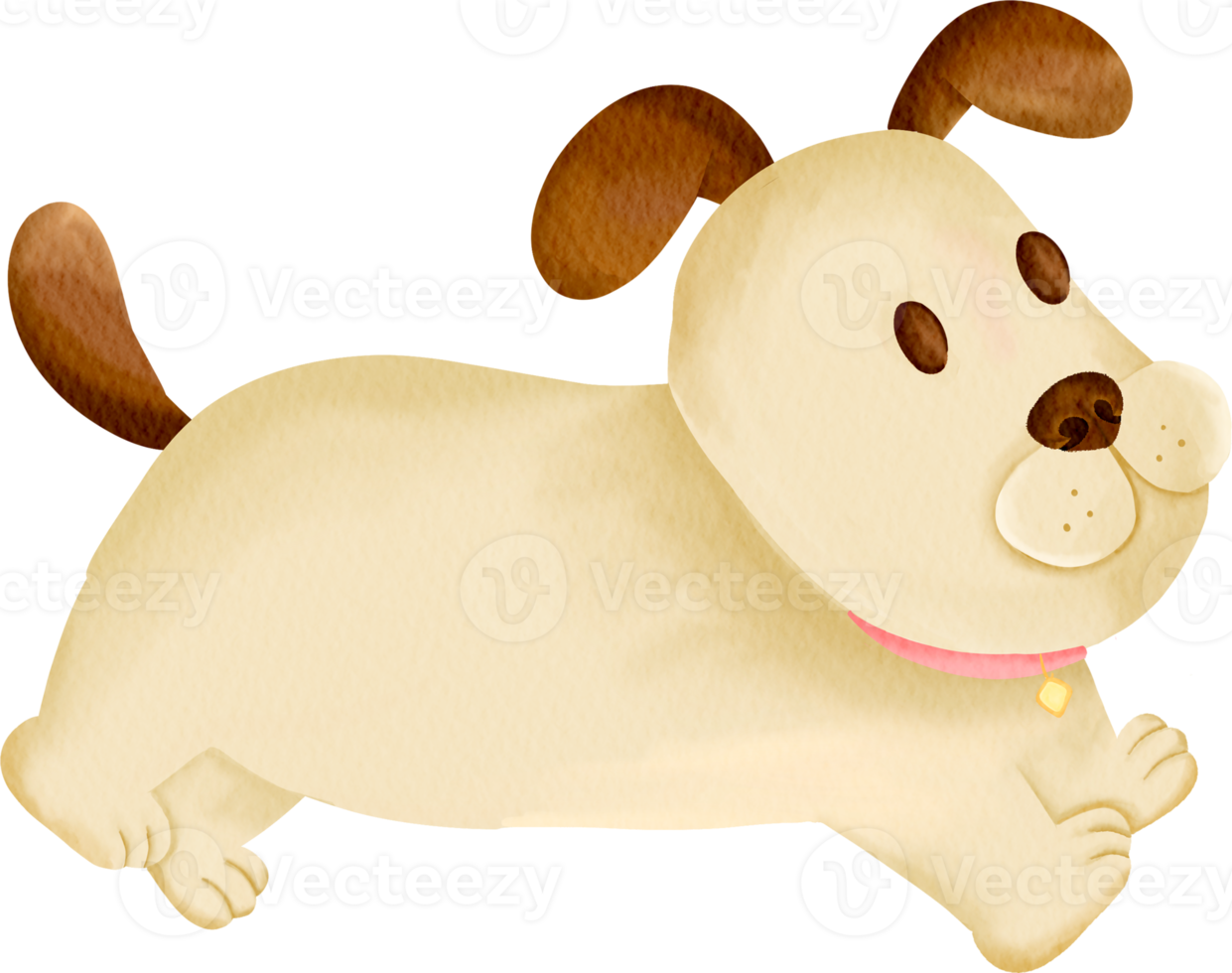 acuarela bebé perro y cachorro raza niños lindos colección de imágenes prediseñadas png