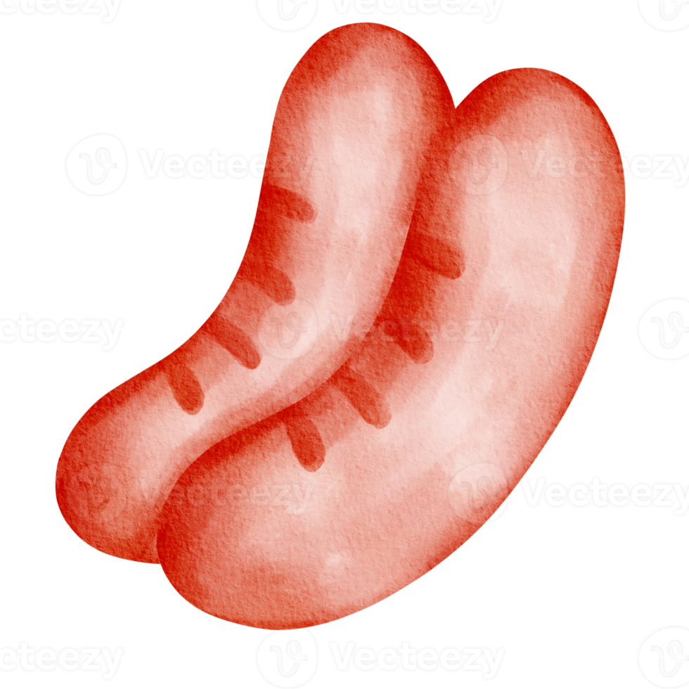 salsiccia veloce cibo acquerello png