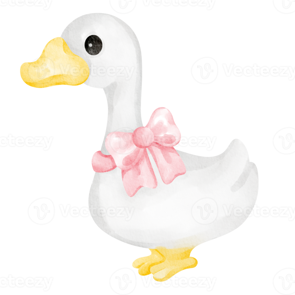 duck watercolor farm animal png