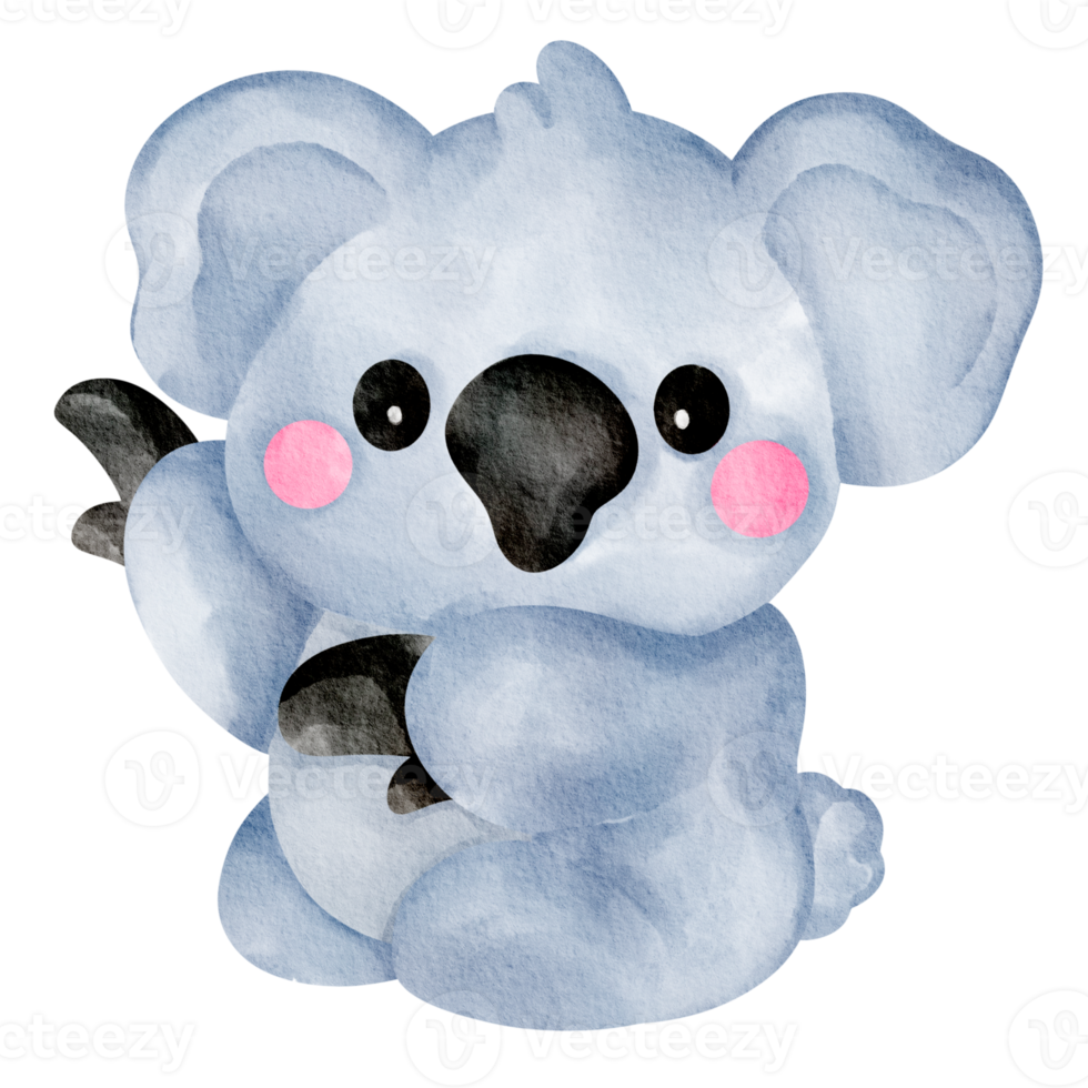 koala aquarelle animal sauvage png