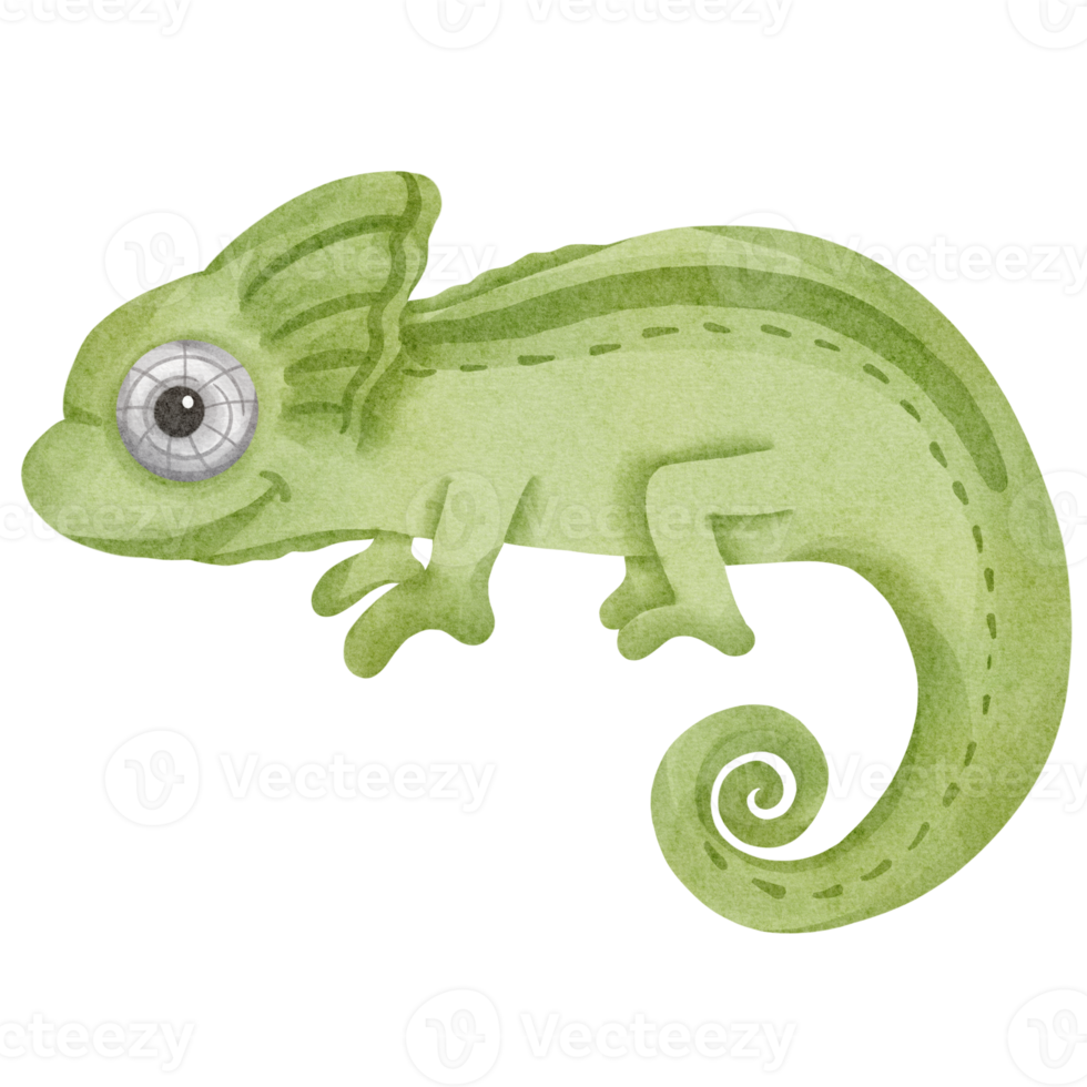 Free lizard watercolor wild animal 16765692 PNG with Transparent Background Free lizard watercolor wild animal 16765692 PNG with Transparent Background