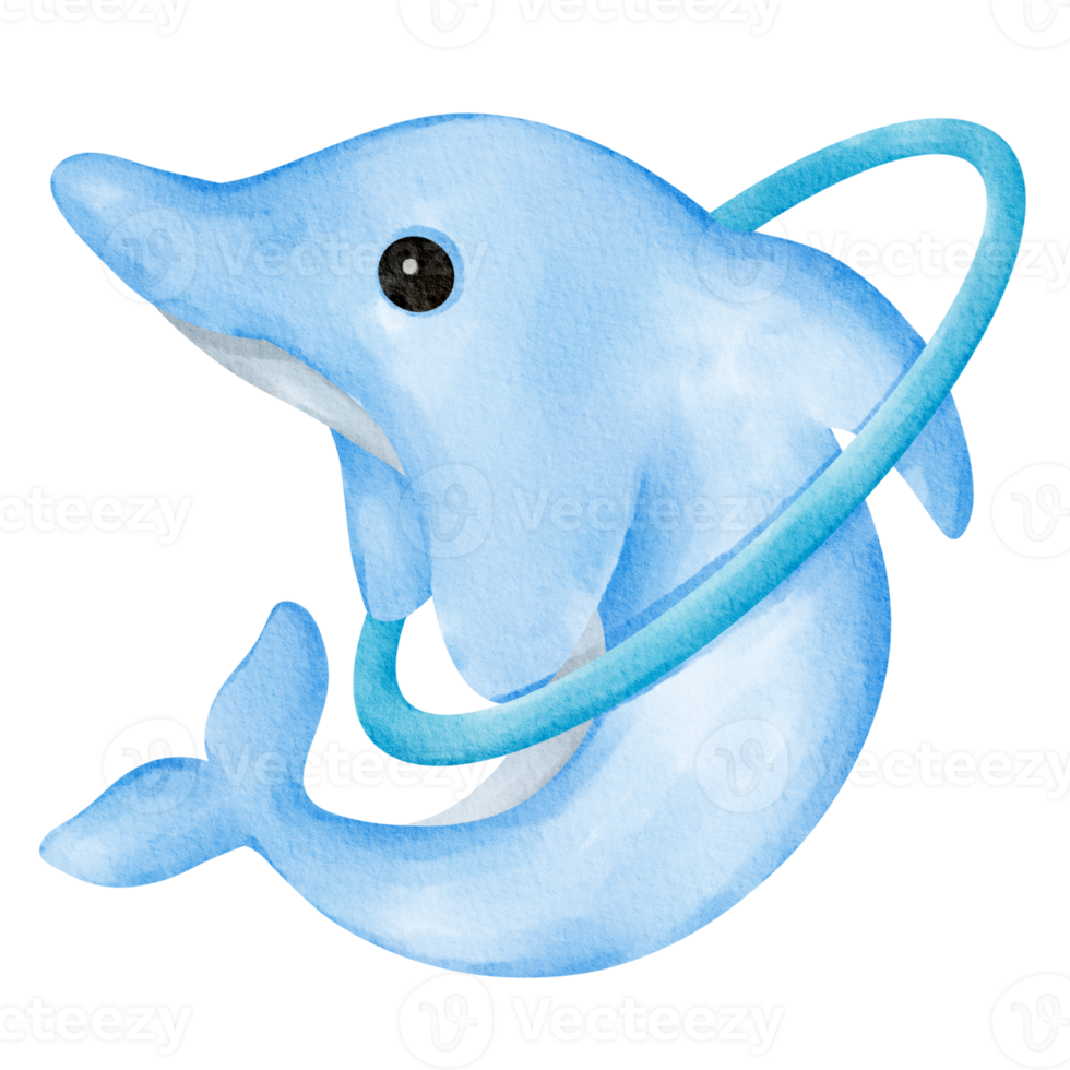 dolphin watercolor wild animal png