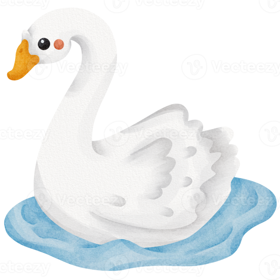 swan watercolor farm animal png