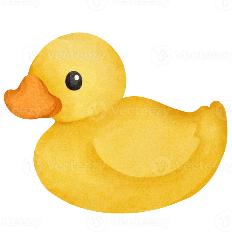 duck watercolor farm animal png