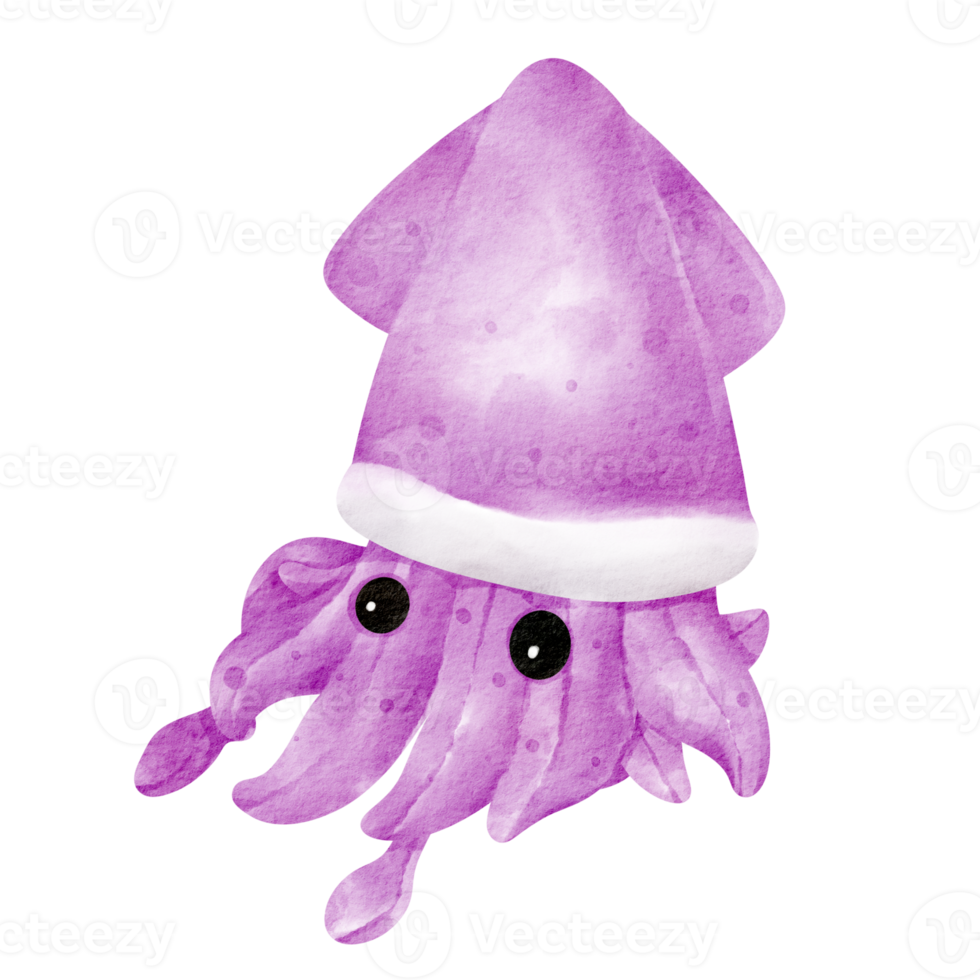 squid watercolor clip art cartoon png